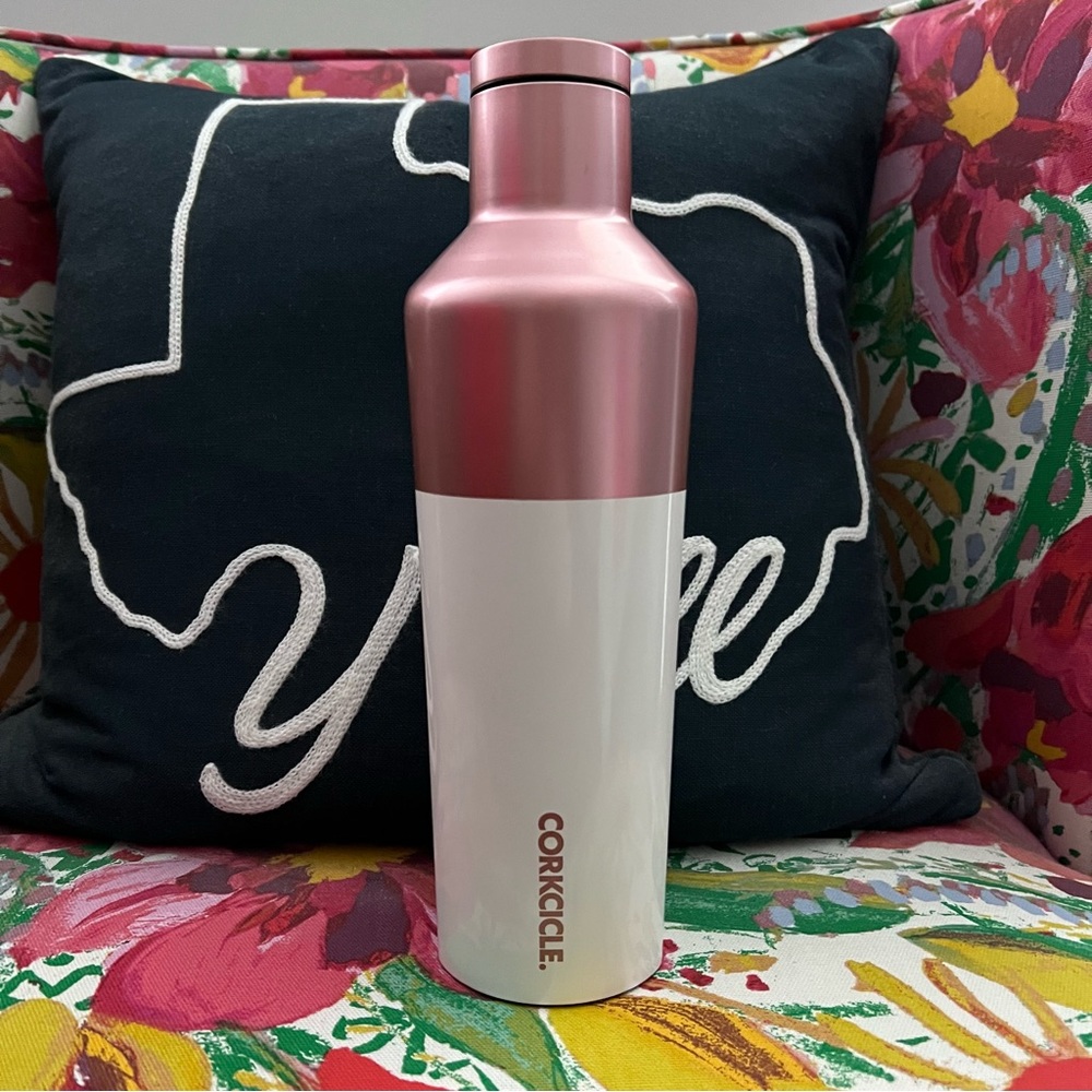 Corkcicle Canteen